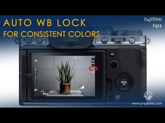 Getting Consistent Colors with Fujifilm's Auto White Balance Lock