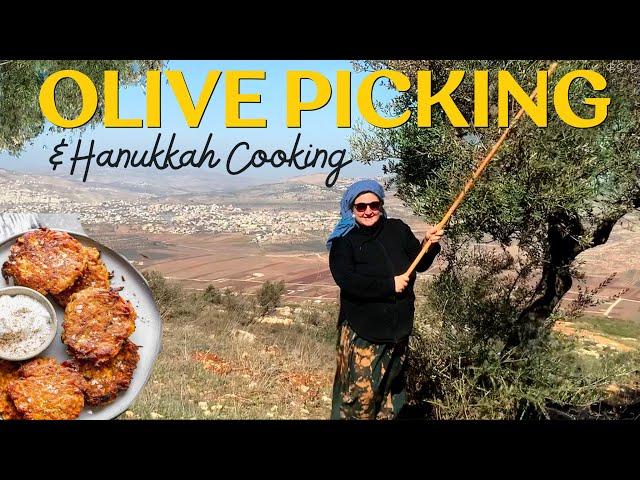 HANUKKAH COOKING & Picking Olives in Israel. Easy, Fast, Healthy Recipes & Cookbook!