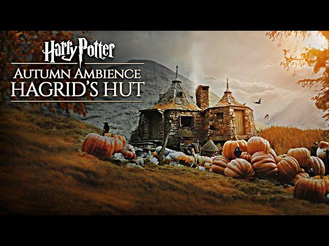 Hogwarts Autumn  Hagrid's Hut ◈ Harry Potter inspired Ambience / Falling Leaves + Rain showers