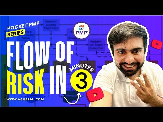 Flow of risk in pmp in 3 minutes