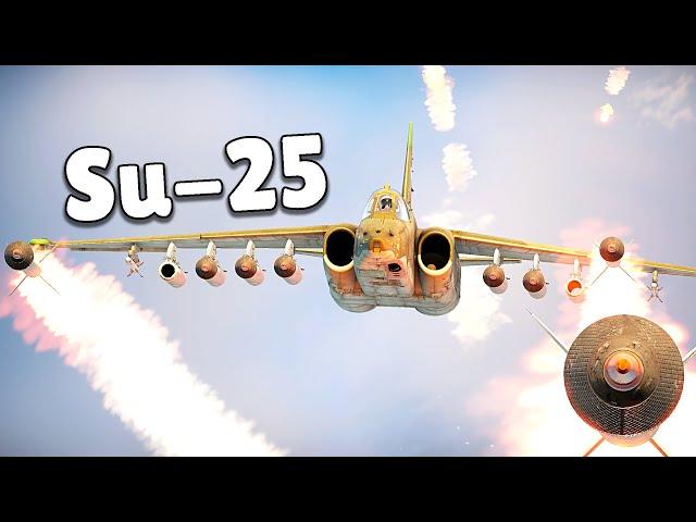 Su-25 Experience