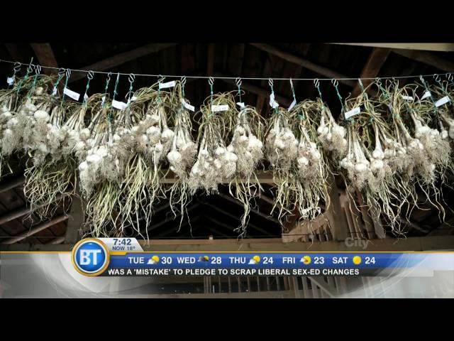 Frankie Flowers: How to plant, grow, and harvest garlic