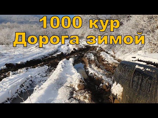 1000 кур зимой, наши дороги, развитие и инвестиции в РАЙАР