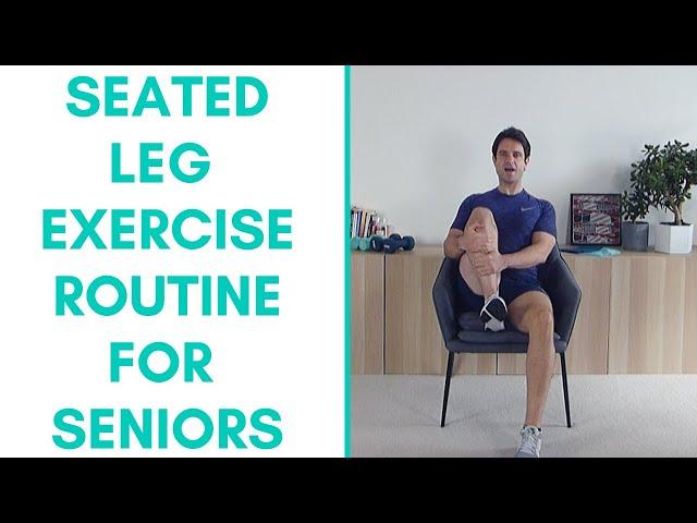 Easy Seated Leg Workout for Seniors | Stay Active & Healthy