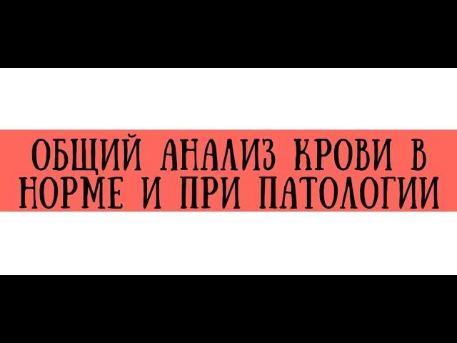 Общий анализ крови в норме и при патологии - meduniver.com