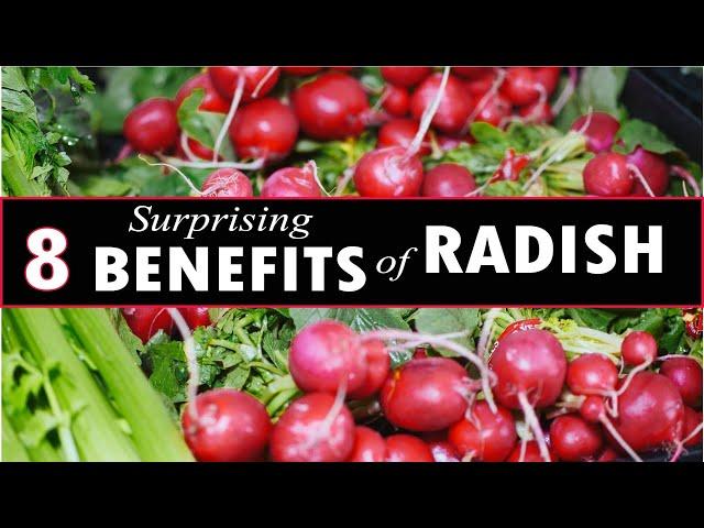 8 Surprising HEALTH  Benefits of RADISH