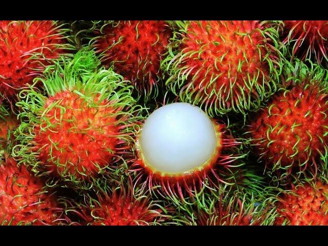 The Super Fruit: Rambutan