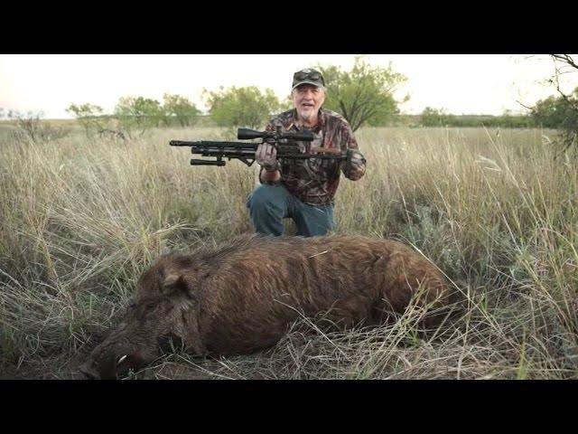 AIRGUN HUNTING: Intro to Hunting with the modern airgun