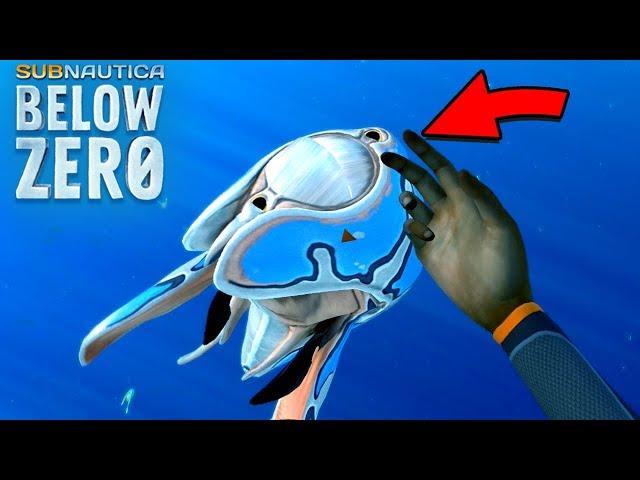 Interacting With TRIVALVE || Subnautica Below Zero HD