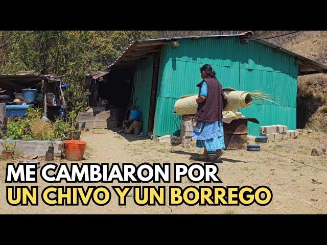 "Me cambiaron por un chivo y un borrego"|Tía Juana