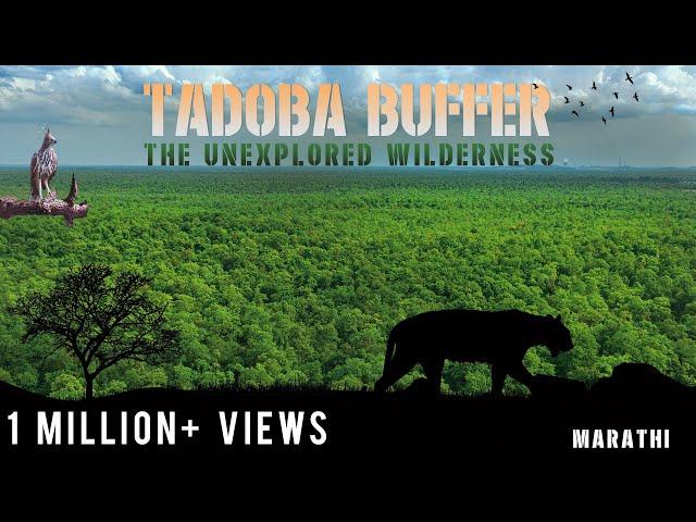 Tadoba Andhari Tiger Reserve - Buffer Zone (Marathi Film)