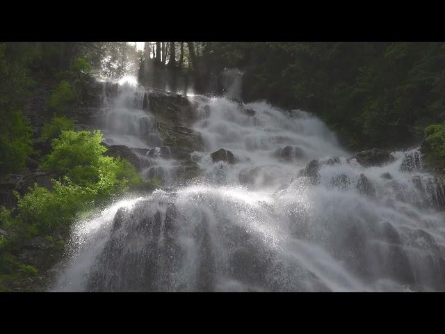 BRIDAL VEIL FALLS: THE MIRACLE / SPA MUSIC, WELLNESS MUSIC, YOGA MUSIC, HEALING MUSIC, ZEN MUSIC