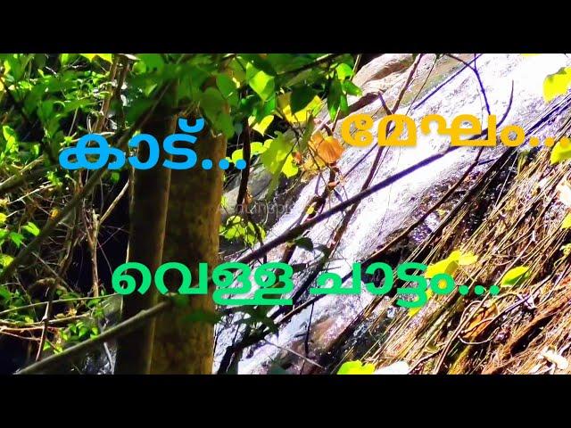  Experience tranquil forests and waterfalls with "കാട്ടിലേക്ക് പോകുന്നു ഞാൻ" music. Nature heals. 