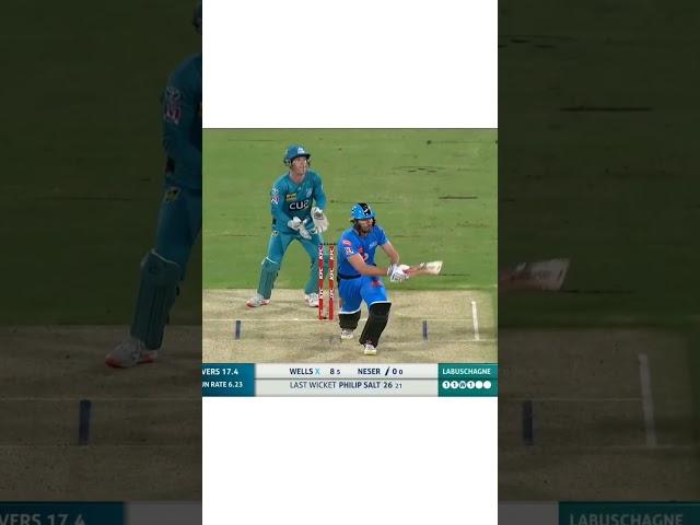 Labuschagne Funny moment