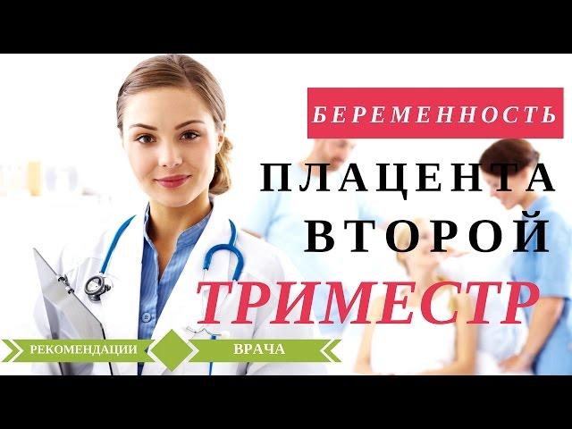 Второй триместр беременности. 4 месяц беременности. Значение плаценты.