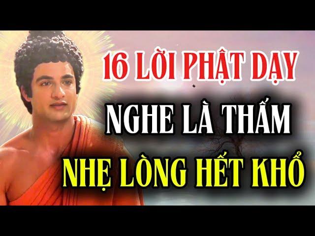 16 Lời Phật Dạy : Nghe Là Thấm Nhẹ Lòng Hết Khổ Thay Đổi Cuộc Đời - Tỉnh Thức Đạo Đời