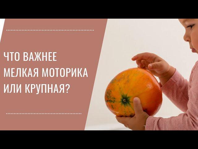 Мелкая или крупная моторика, что важно для развития ребенка и что за что отвечает?