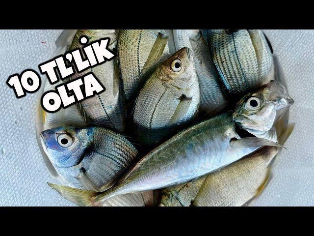 We caught our dinner with a 10 TL Fishing tackle!!