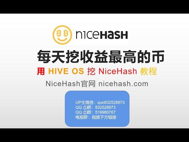 教你每天自动挖收益最高的币种 用Hive OS挖NiceHash收益最大化教程