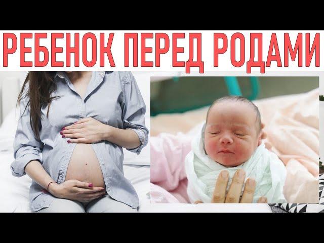 КАК ВЕДЕТ СЕБЯ РЕБЕНОК ПЕРЕД РОДАМИ | Поведение ребенка перед родами и во время схваток