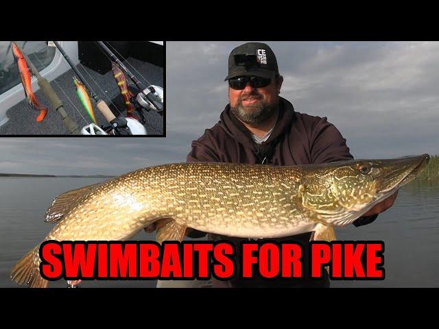 Fishing Swimbaits for Big Pike