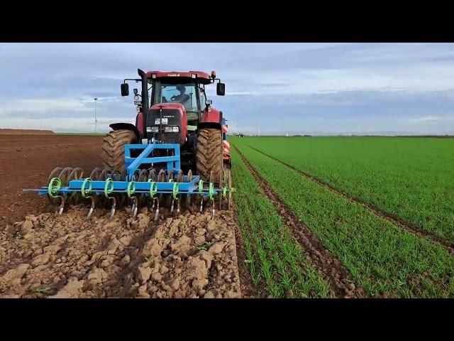 Cerea 300 RTK Lenksystem: Weizen säen mit Case CVX und Lemken Saphir