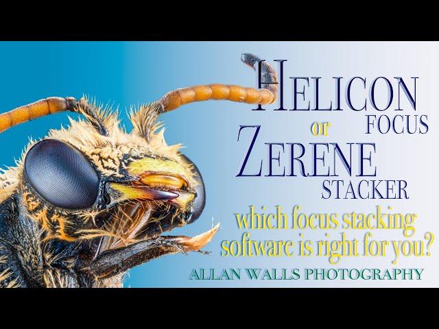 Helicon or Zerene - which focus stacking software is right for you?