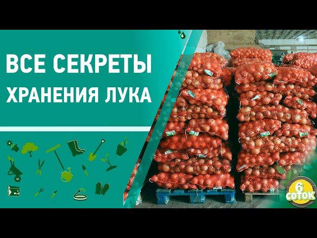 Все секреты хранения лука. 6 соток 09.09.2019