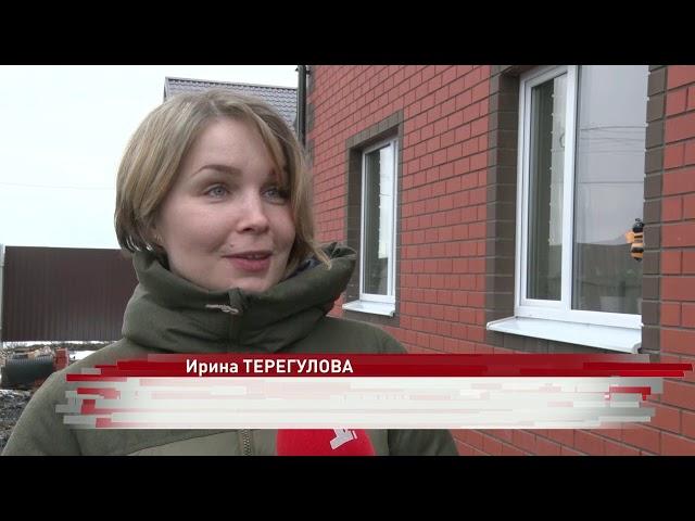 На жителей Ярославского района обрушились «снежные блохи»: есть ли опасность?