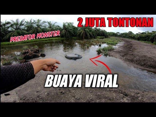 MENDEBARKAN TERJUMPA BUAYA SANG BEDAL KETIKA MEMANCING