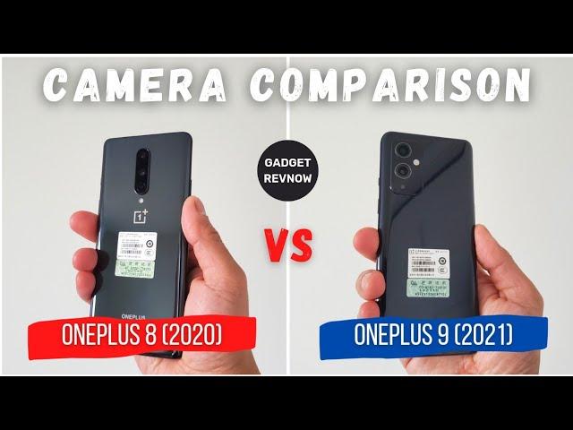 OnePlus 8 vs OnePlus 9 (Hasselblad) camera comparison! Who will win?