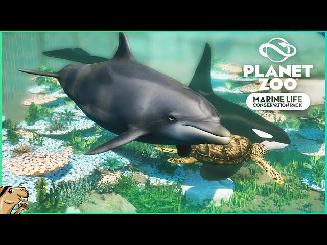 Why MARINE Animals DO BELONG in Zoo Games - Planet Zoo Update