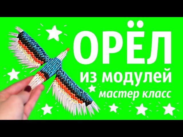 Орёл Из Модулей | Модульное Оригами | Мастер Класс