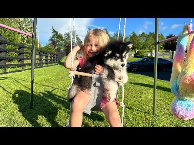 Adorable Puppy Loves His New Best Friends! (They're The Cutest!!)