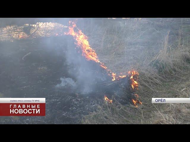 В Орловской области активно горит сухая трава