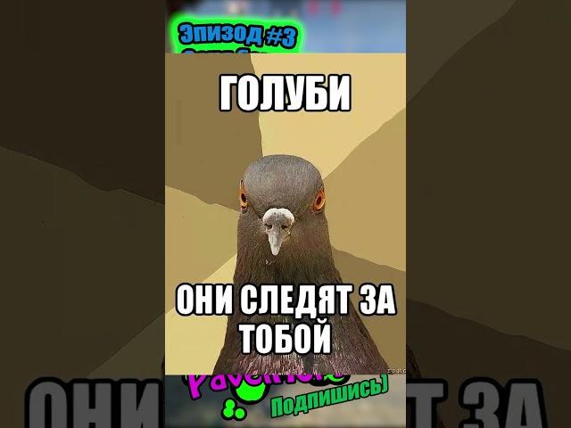 Это всё голуби!| CS:GO #csgo #ксго #кс #csgomemes #мемы #memes #игры #game #shorts