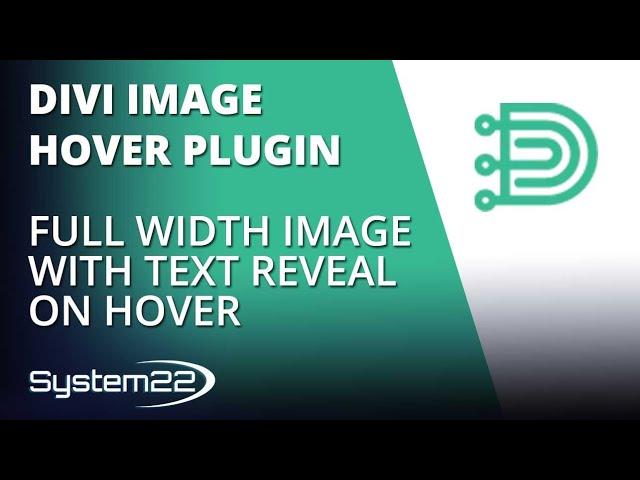 Divi Theme Image Hover Plugin Full Width Image With Text Reveal On Hover 