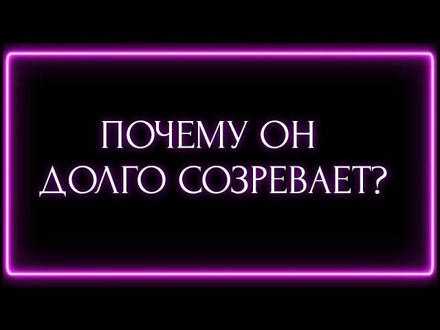 ПОЧЕМУ ОН ДОЛГО СОЗРЕВАЕТ?