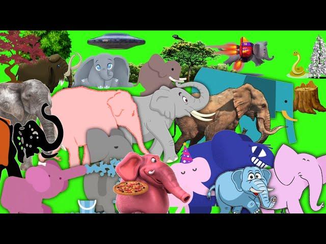 animal stampede part - 3 | elephant stampede green screen | elephant version | mammoth run