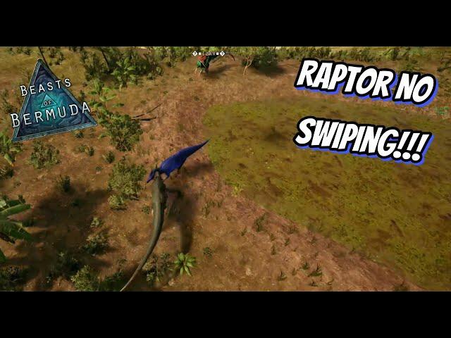 The Raptor Strikes again!!! - Beasts of Bermuda