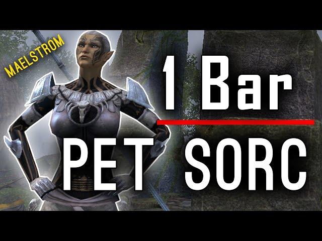 One Bar Pet Sorc Build MAELSTROM ARENA - Full Walkthrough + Guide