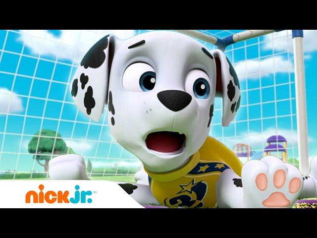 PAW Patrol | I cuccioli giocano a calcio! | Nick Jr. Italiano