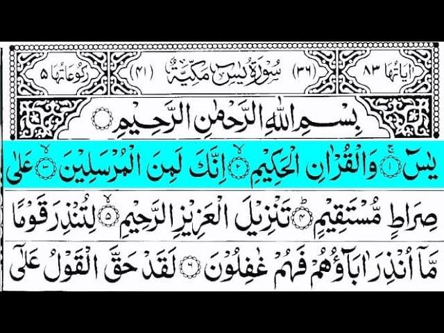 Surah Yaseen |Yasin|  || Ep - 141 || By Hafiz mughez Ahmed | سوره 55 رحمن | Beautiful Recitation |