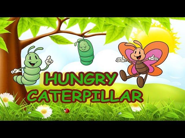 Hungry Caterpillar Song  Spring Songs for Kids  Kids Bug Song  Kids Songs by The Learning Station