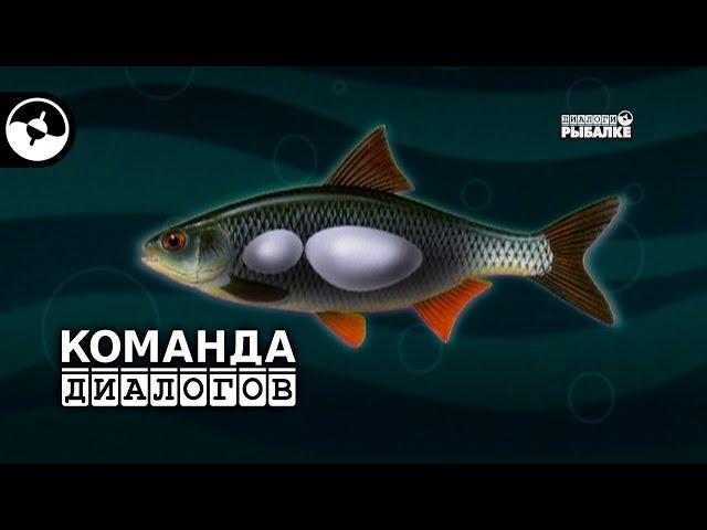 Плотва на мормышку | Классика