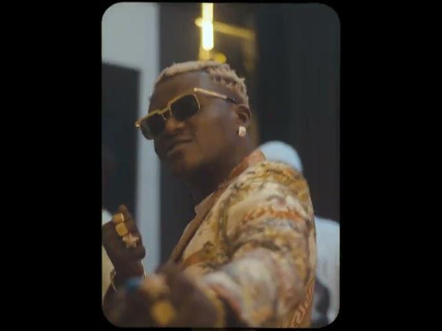 Portable ft Small Doctor - Neighbour [Video]