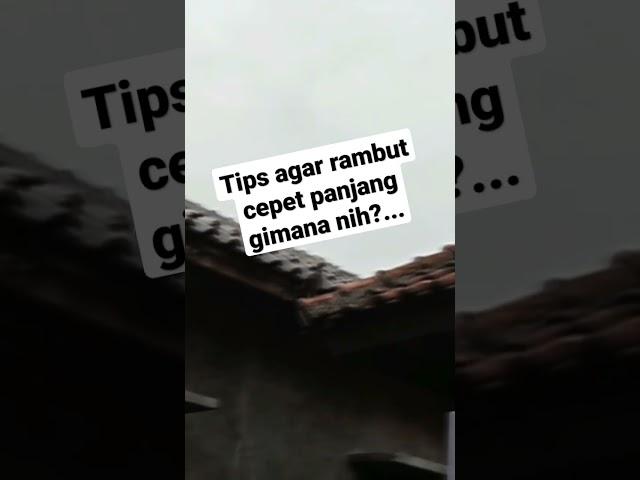 Tips nya agar rambut cepet panjang...