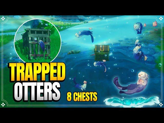 Save The Trapped Otters!!! | 8 Otter Chests | World Quests & Puzzles |【Genshin Impact】