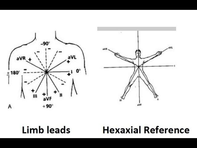 Hexaxial System for Limb Leads ; Definition, Arrangements and Importance