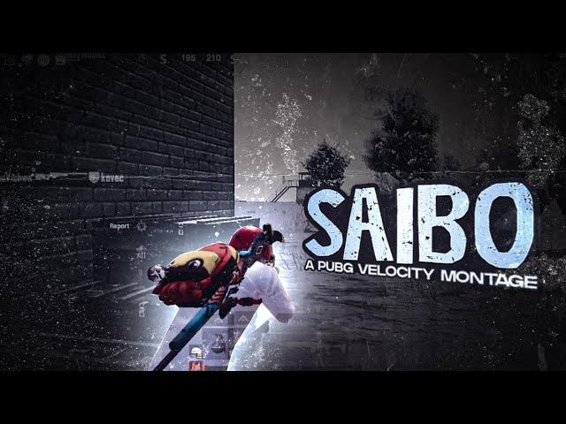 Saibo : A Pubg Soothing Edit | Road to 10k | Best Velocity Edit | #siddhagaming x @SakhtPahadi